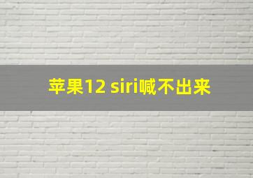 苹果12 siri喊不出来